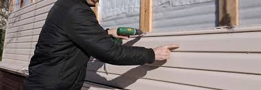 Best Historical Building Siding Restoration  in Riverview, DE